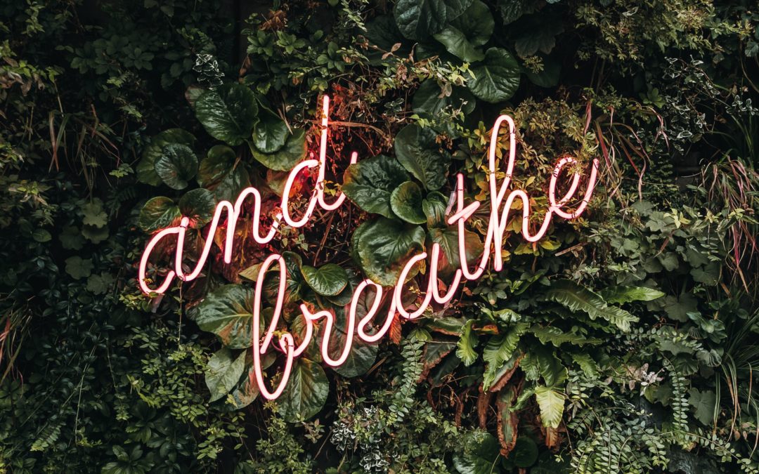 Le premier jour du reste de ma vie…