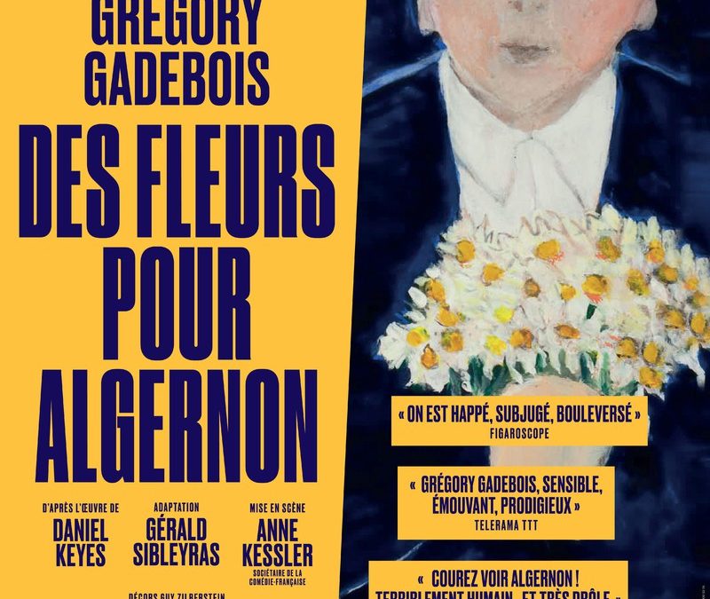« Des fleurs pour Algernon » au Théâtre du Petit St Martin jusqu’au 14 mars 2020